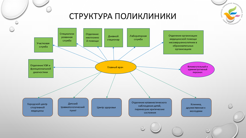 Структура поликлиники